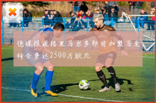 德媒报道格里马尔多即将加盟马竞转会费达2500万欧元