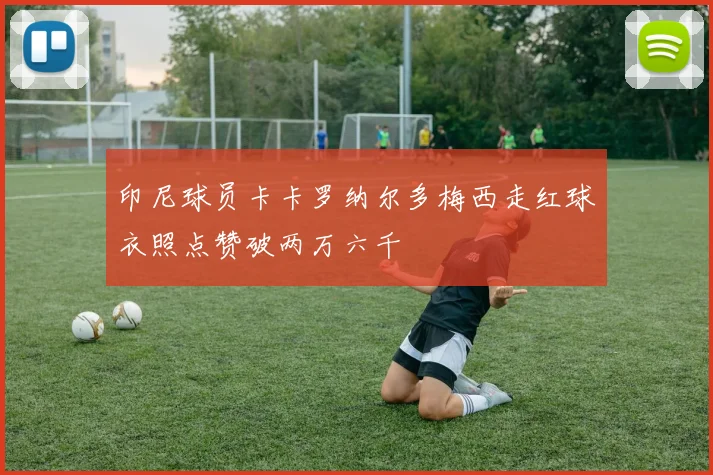 印尼球员卡卡罗纳尔多梅西走红球衣照点赞破两万六千
